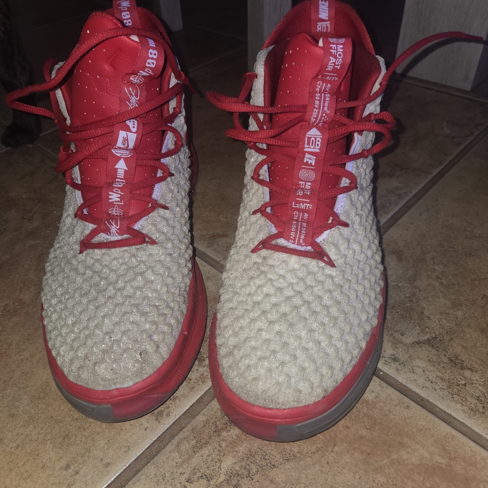 Jordan Athletic Shoes Red and Gray